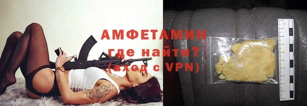 амф Гусев