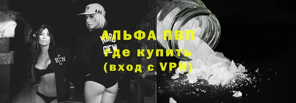 амф Гусев