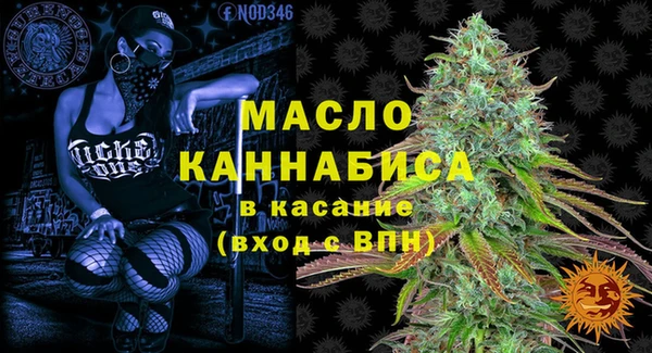 амф Гусев
