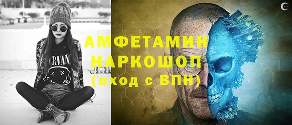 амф Гусев