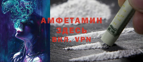 амф Гусев
