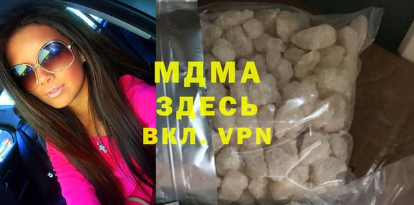 амф Гусев