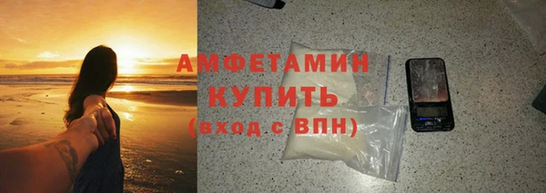 амф Гусев