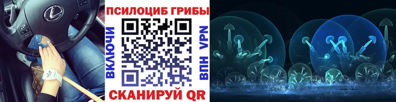 Галлюциногенные грибы GOLDEN TEACHER  Купить закладки  Комсомольск 